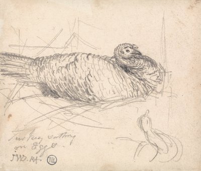 A Turkey Sitting on Eggs by James Ward